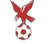 https://img.zhengliangjx.com/img/football/team/4802d26df935b78bb2fcdbbff36e8864.png