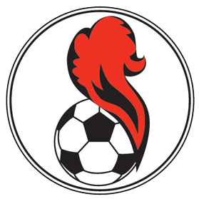 https://img.zhengliangjx.com/img/football/team/5541e5015258ae82b121480f4164267d.png