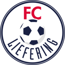 https://img.zhengliangjx.com/img/football/team/bfeb14c5a9727a76294491a2702f01a7.png